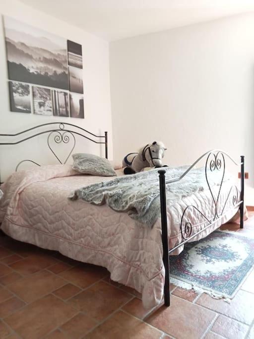 Il Borgo Della Zittola Villa Montenero Val Cocchiara Ngoại thất bức ảnh